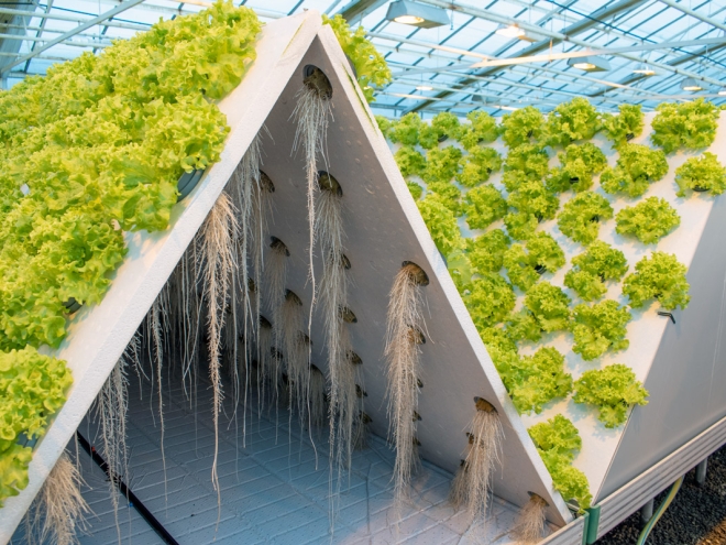 Idé-Pro levererar EPS-komponenter till Danmarks mest miljövänliga och innovativa plantskola