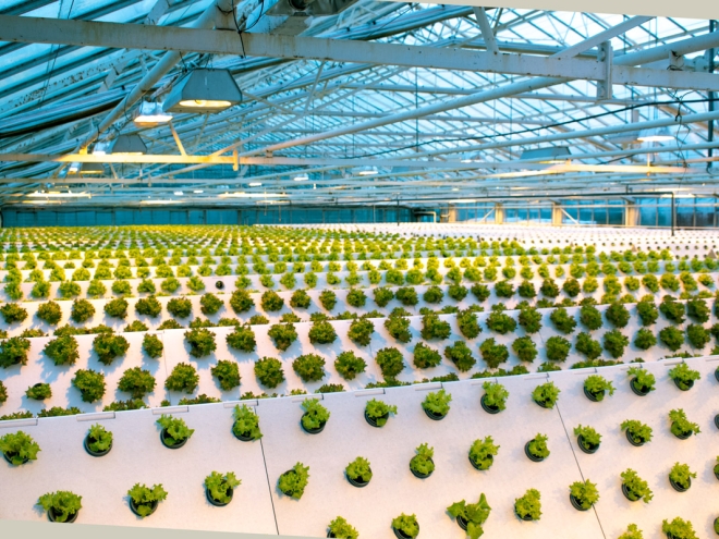 Idé-Pro levererar EPS-komponenter till Danmarks mest miljövänliga och innovativa plantskola